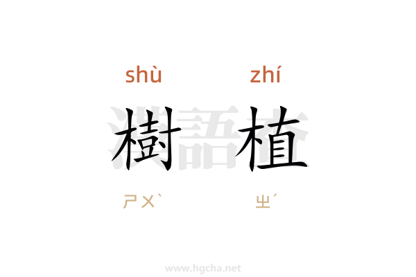 樹植