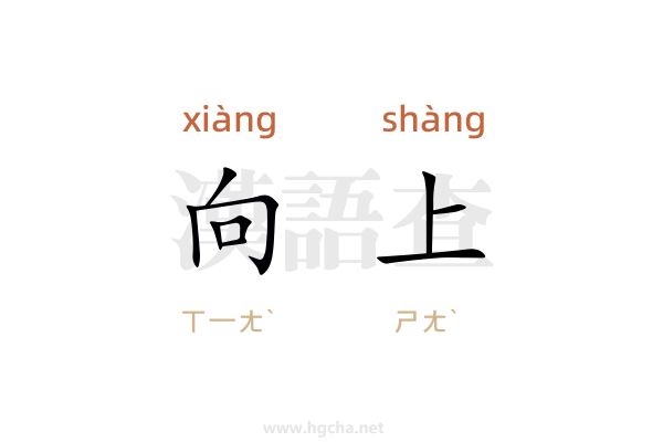向上