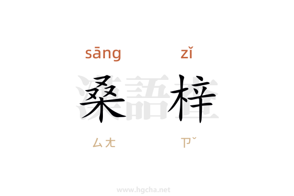 桑梓