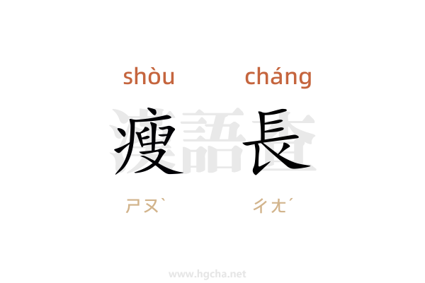 瘦長