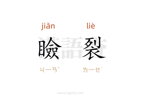 瞼裂的意思,瞼裂的拼音