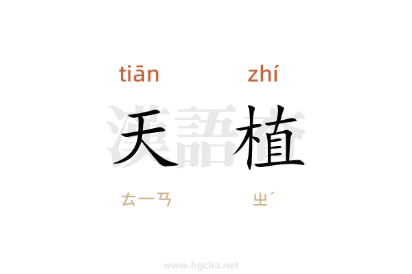 天植